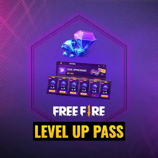 Level Up Subscription 